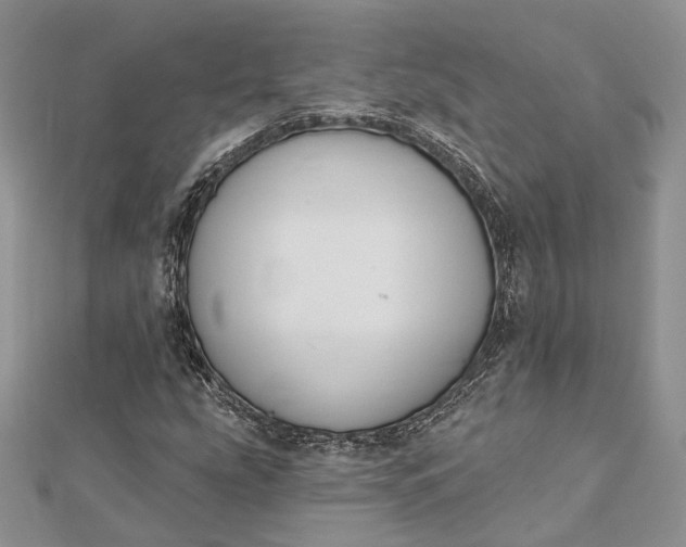 X0000112501207200908311445