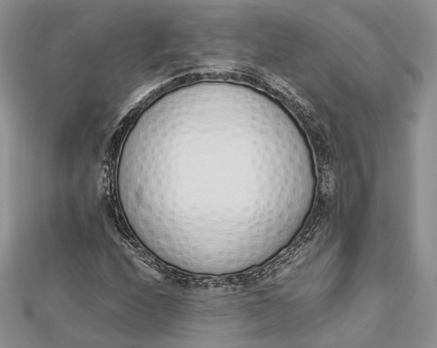 X0000112501208200908311445