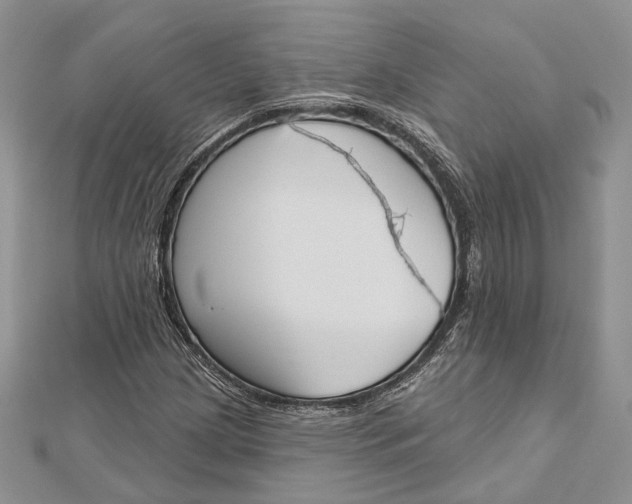 X0000112501209200908311445