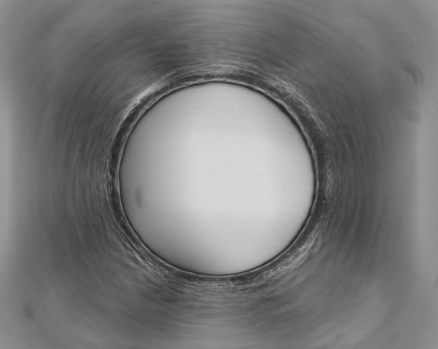 X0000112501210200908311445