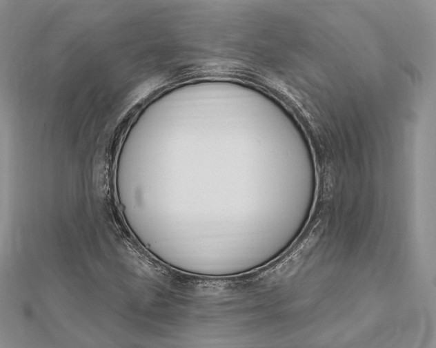 X0000112501211200908311445