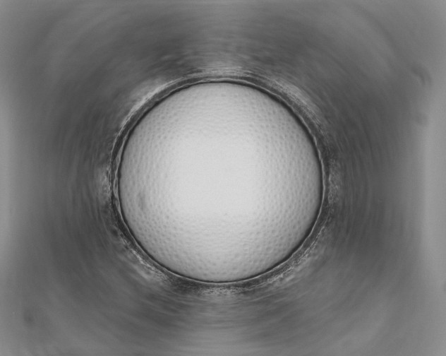 X0000112501212200908311445