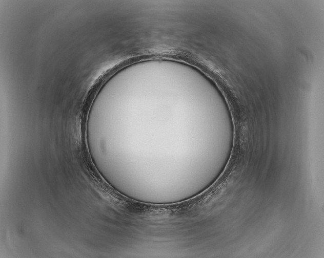 X0000112501214200908311445