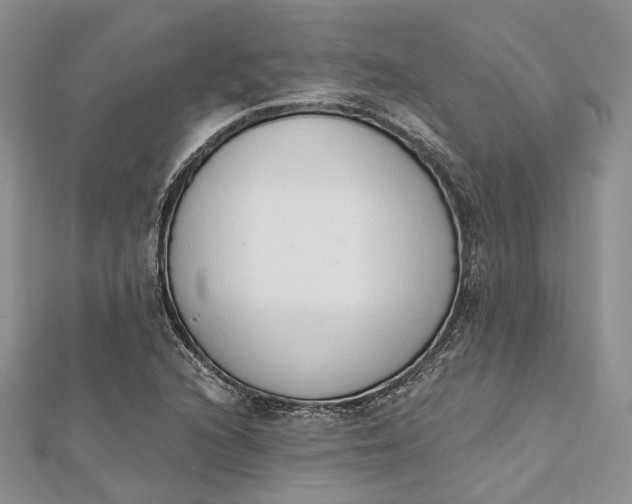 X0000112501216200908311445