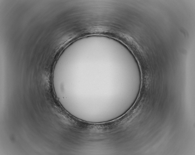 X0000112501217200908311445