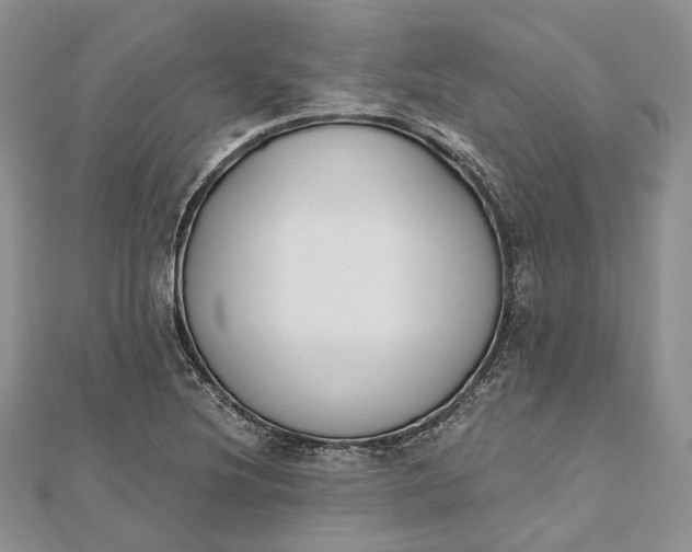 X0000112501220200908311445