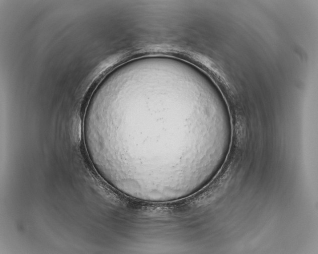 X0000112501221200908311445