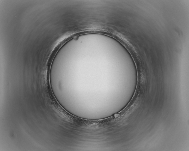 X0000112501222200908311445