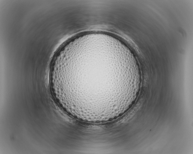 X0000112501224200908311445