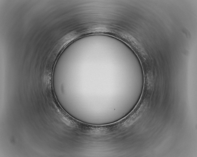 X0000112501225200908311445