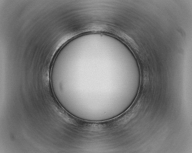 X0000112501226200908311445