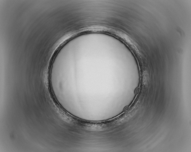 X0000112501229200908311445