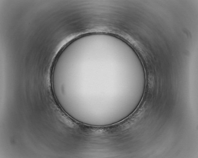 X0000112501230200908311445