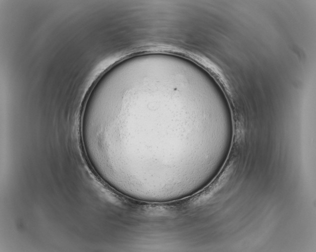 X0000112501231200908311445