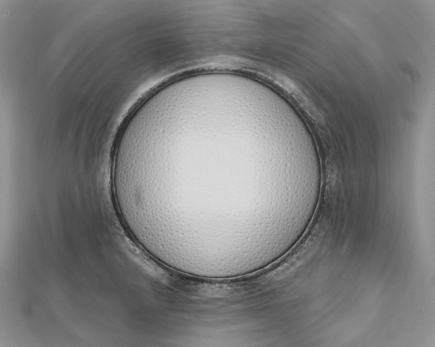 X0000112501232200908311445