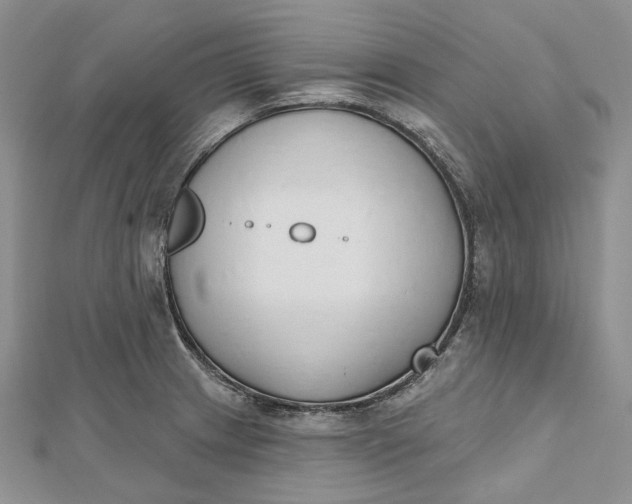 X0000112501233200908311445