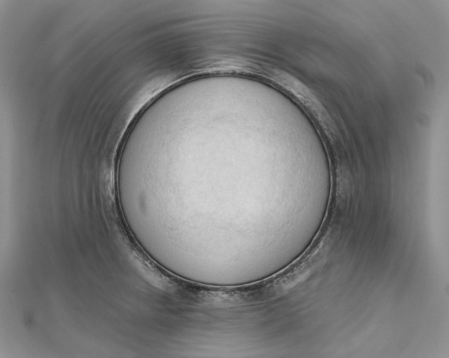 X0000112501234200908311445