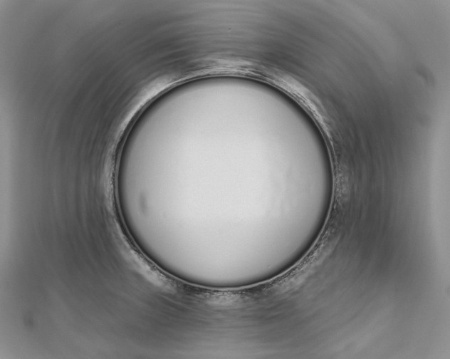 X0000112501235200908311445