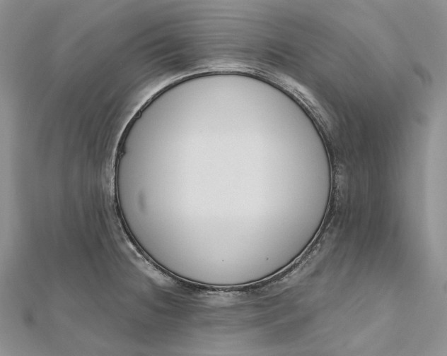 X0000112501236200908311445