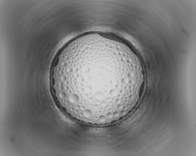 X0000112501237200908311445