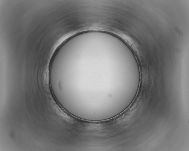 X0000112501238200908311445