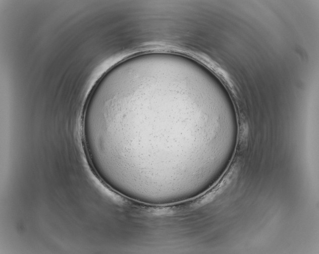 X0000112501239200908311445