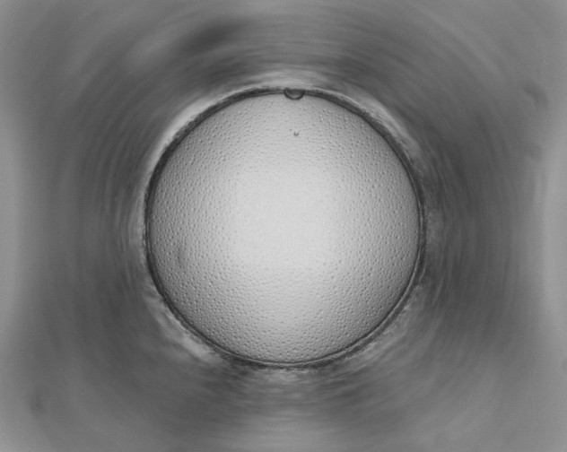 X0000112501240200908311445