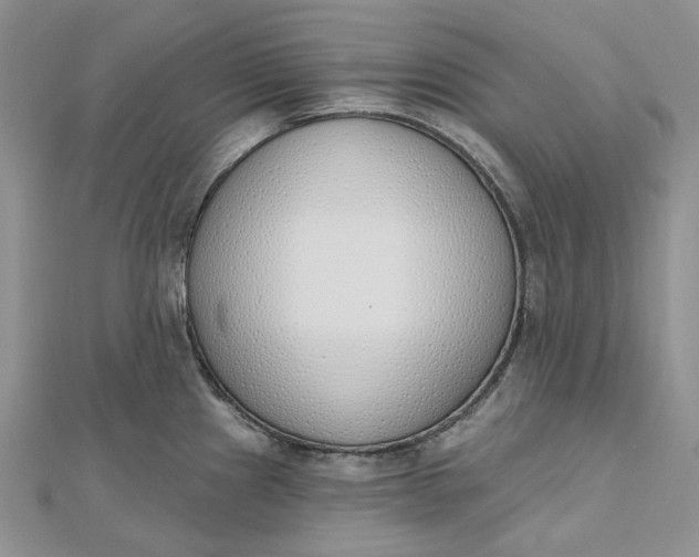 X0000112501241200908311445