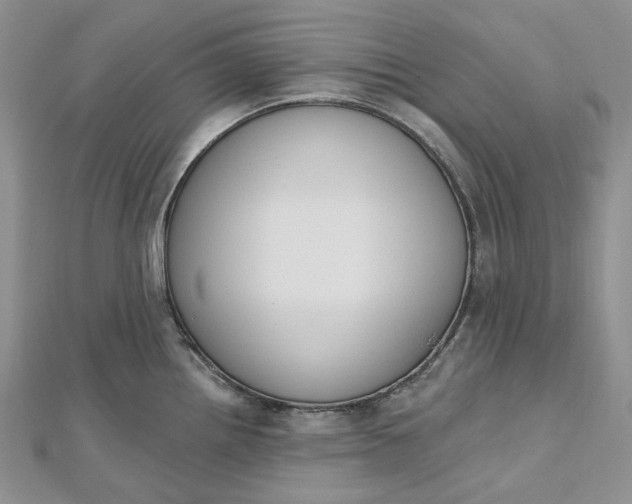 X0000112501242200908311445