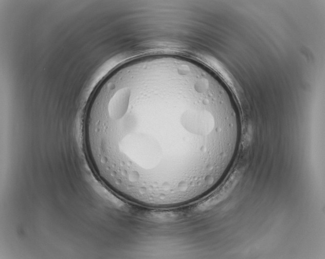 X0000112501243200908311445