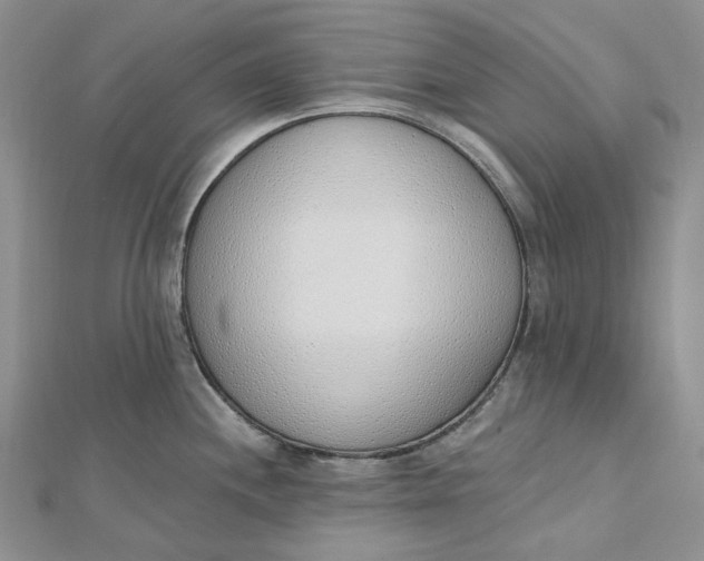 X0000112501244200908311445