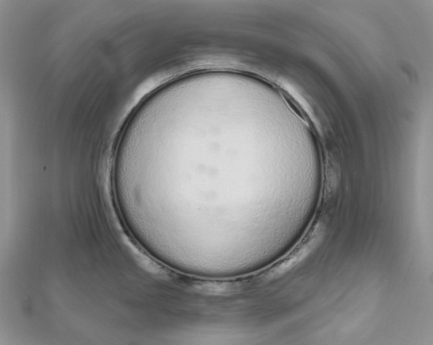 X0000112501245200908311445