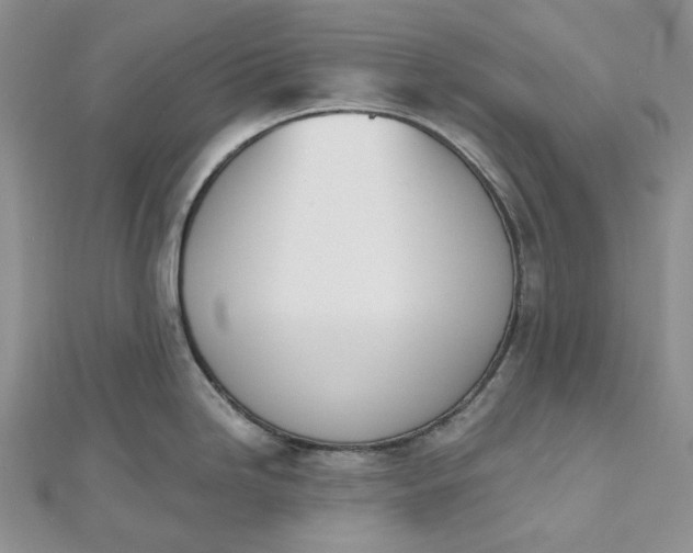 X0000112501246200908311445