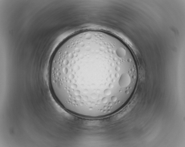 X0000112501247200908311445