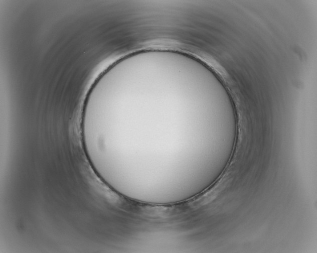 X0000112501248200908311445