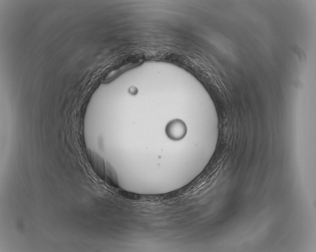 X0000112501249200908311445