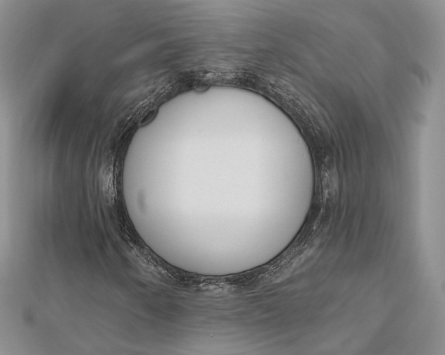 X0000112501250200908311445