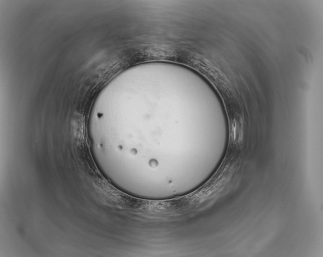 X0000112501251200908311445