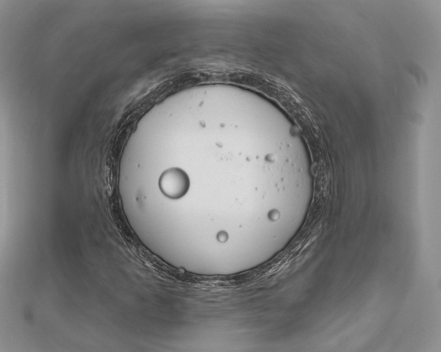 X0000112501253200908311445