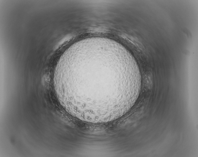 X0000112501254200908311445