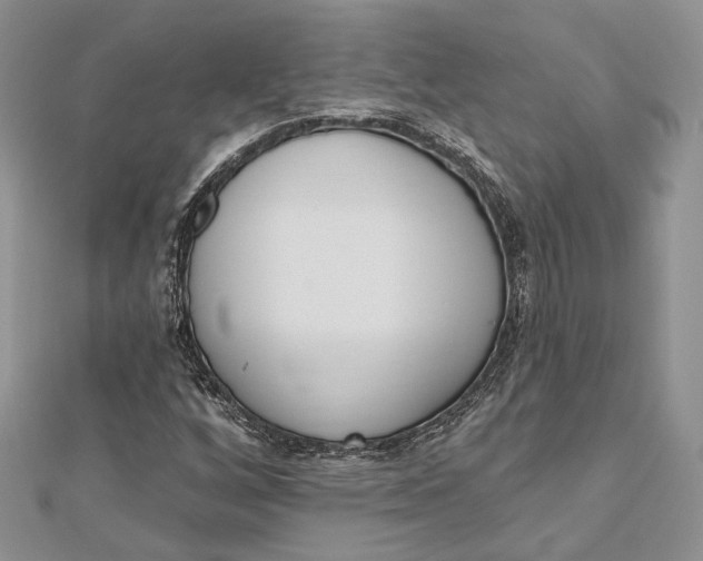 X0000112501256200908311445