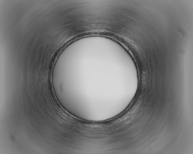 X0000112501257200908311445