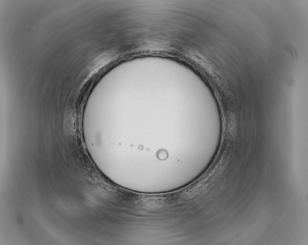 X0000112501258200908311445