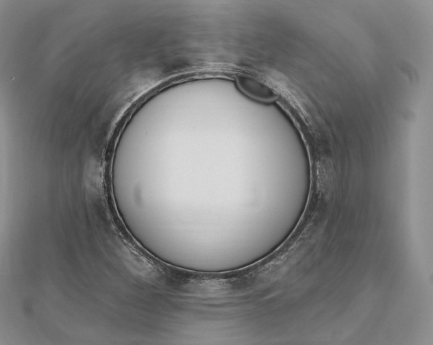 X0000112501260200908311445