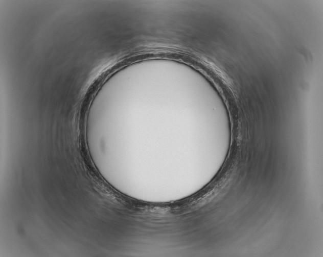 X0000112501261200908311445