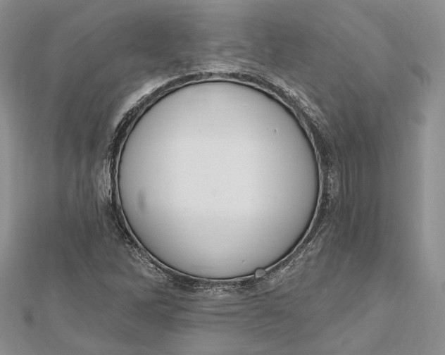 X0000112501262200908311445