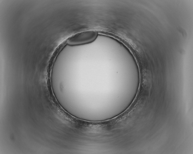 X0000112501264200908311445