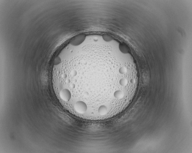 X0000112501266200908311445