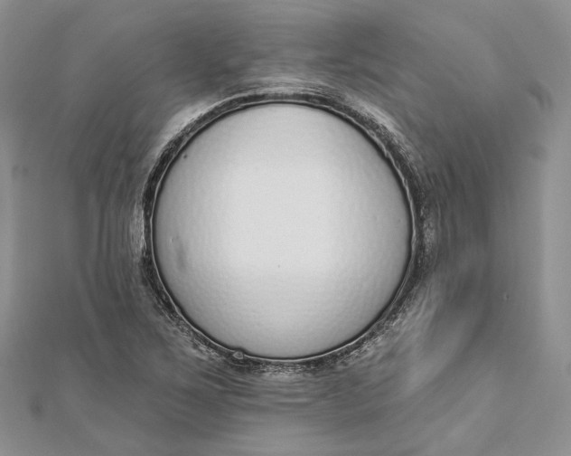 X0000112501267200908311445