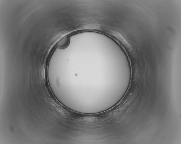 X0000112501268200908311445